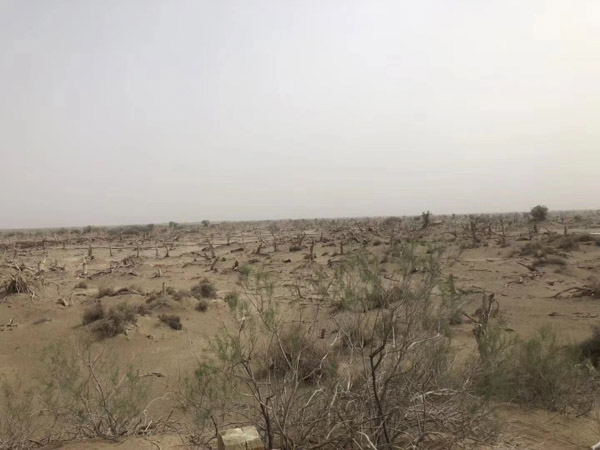 買賣合同問題如何處理？深圳買賣合同律師為您解答