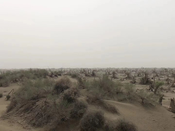 平穩(wěn)生活被拆遷打斷，看深圳動(dòng)拆遷律師怎么幫忙維權(quán)