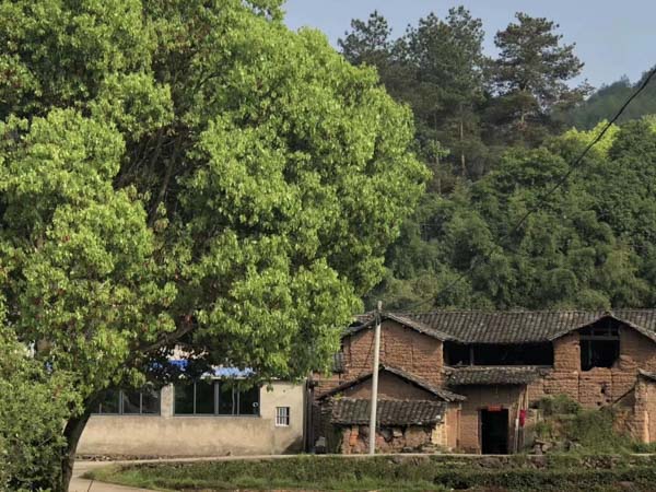 交通事故的刑事責(zé)任及處罰是怎樣的？深圳交通事故律師為您講解