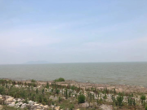 福田區(qū)律師:行政賠償舉證責任分配應當考慮這些因素