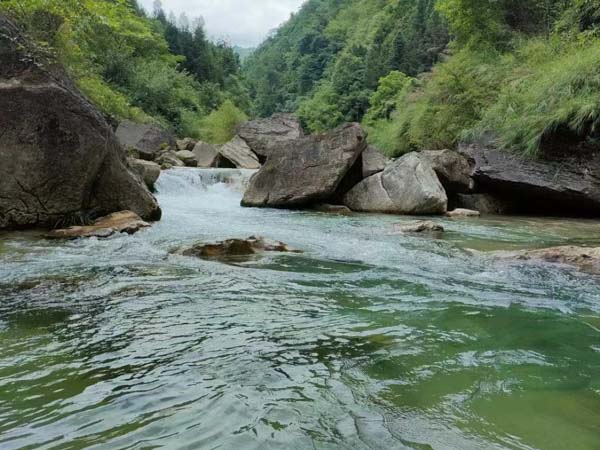 代理服務(wù)合同發(fā)生糾紛怎么辦？深圳合同法律師為您解答