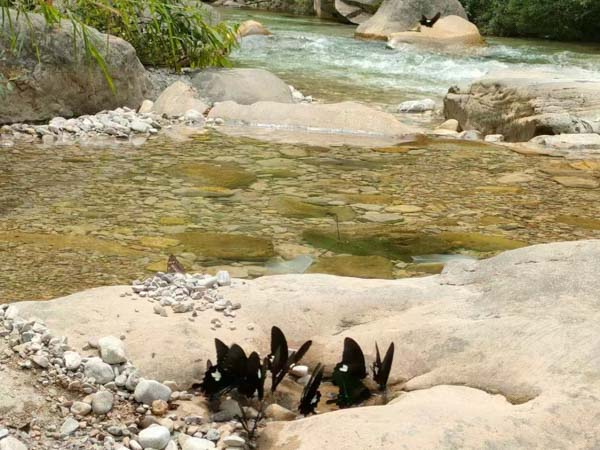 將公司資產(chǎn)低價出租給關(guān)聯(lián)公司如何處理？深圳公司法律顧問來回答