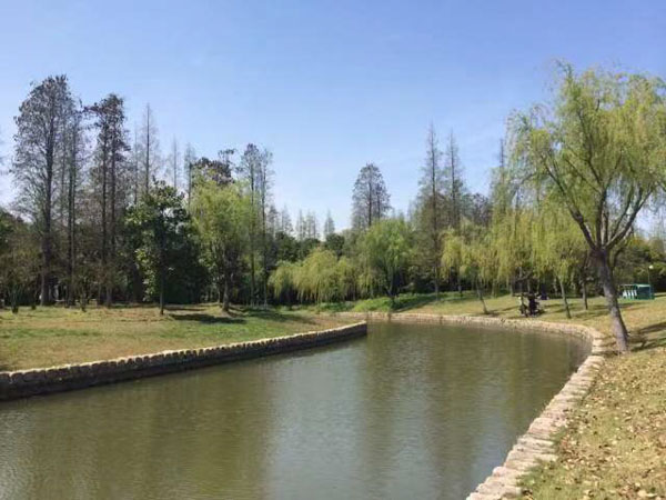 深圳律師咨詢網(wǎng)帶您了解對(duì)承包方轉(zhuǎn)包建設(shè)工程的認(rèn)定與處理