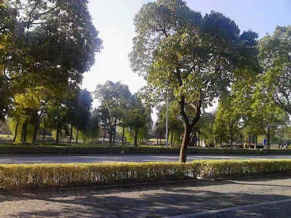 事前與職務(wù)侵占罪的犯罪分子通謀是否屬于共犯？深圳刑事律師咨詢網(wǎng)來(lái)回答