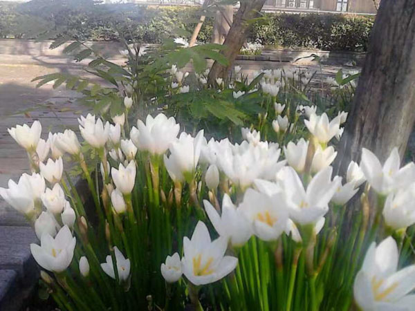 房屋共有產(chǎn)權(quán)糾紛，法院一般怎么判？深圳房屋拆遷律師總結(jié)整理