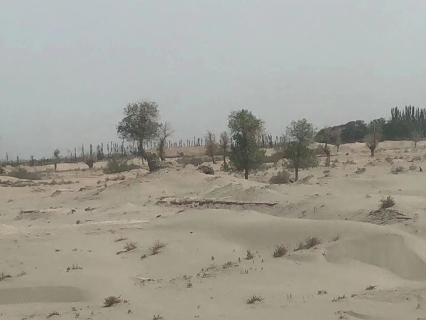 鹽田區(qū)律師來講講連續(xù)挪用公款的數(shù)額是否累計(jì)計(jì)算