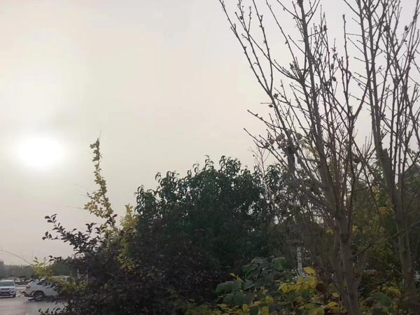 深圳刑事辯護(hù)律師為您解答搶劫罪的認(rèn)定需要考慮哪些方面