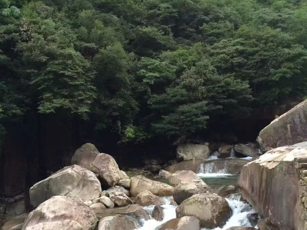 深圳法律咨詢網(wǎng)來講講能否以勞動(dòng)合同倒簽為由主張工資差額