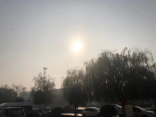 深圳好的律師事務(wù)所為您解答停止版權(quán)侵權(quán)責(zé)任的承擔(dān)要遵循哪些原則