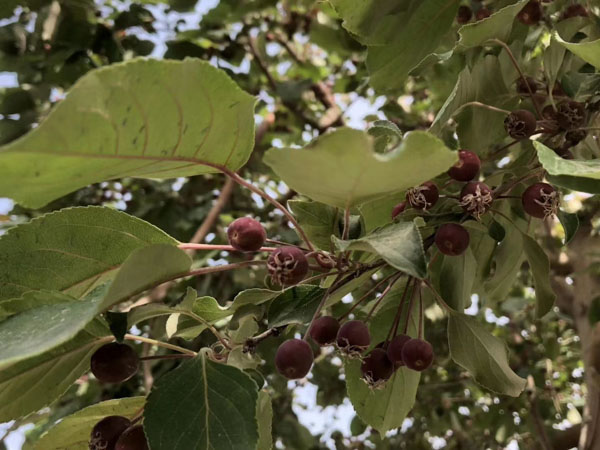如何解決小區(qū)停車位所有權爭議？深圳房產(chǎn)律師告訴您