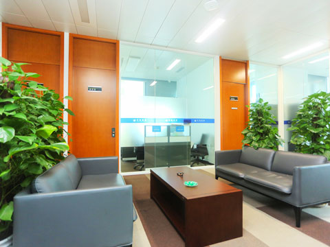 龍崗區(qū)事務所律師談國有獨資企業(yè)對外擔保應由誰決定