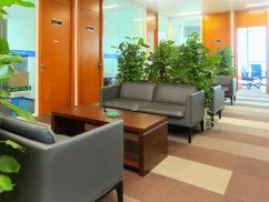 <b>深圳債務(wù)糾紛律師視角下債的擔(dān)保與擔(dān)保物權(quán)的關(guān)系剖析</b>