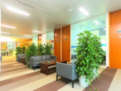 <b>深圳刑事辯護律師解讀非法出售野生動物罪的構(gòu)成要件</b>