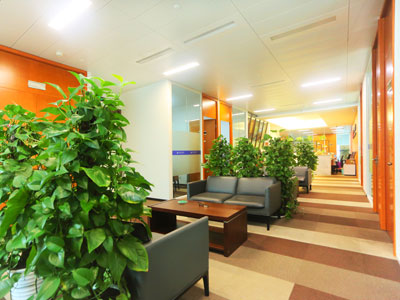 深圳醫(yī)療事故律師